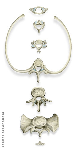 grafito y color digital